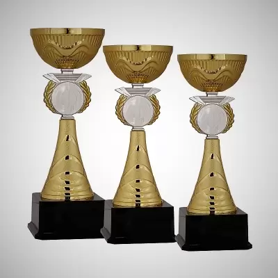 Ödül Kupası Modelleri