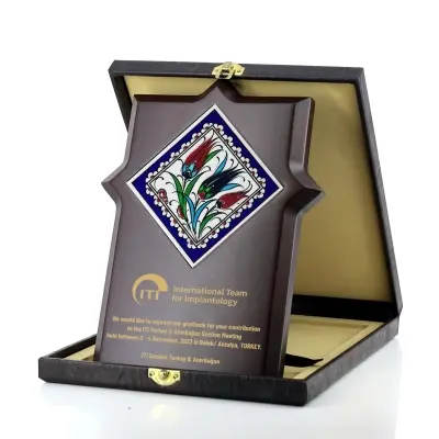 Yıldız Çinili Plaket