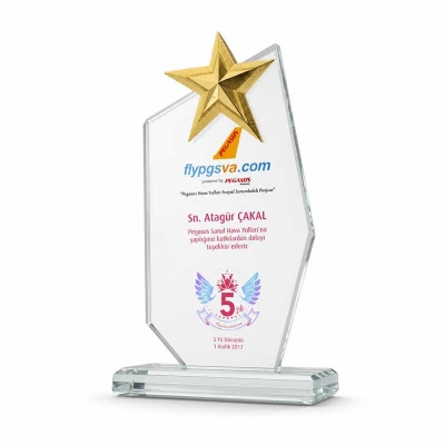 3d Gümüş Yıldızlı Plaket