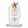 3d Gümüş Yıldızlı Plaket