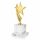3d Metal Yıldız Kristal Plaket