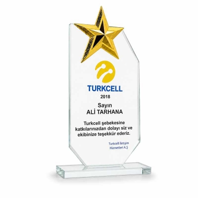 3d Yıldızlı Kristal  Plaket