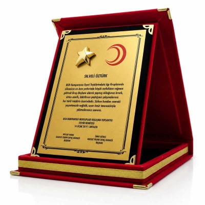 12x16 Yıldızlı Albüm Plaket Modelleri