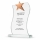 Altın Rengi Yıldızlı Plaket
