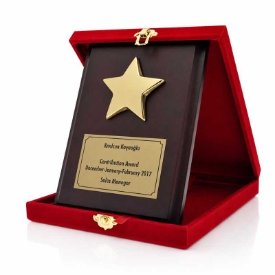 Büyük Yıldızlı Plaket