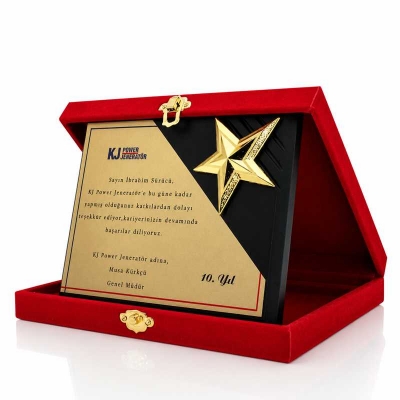 3d Yıldız Plaket