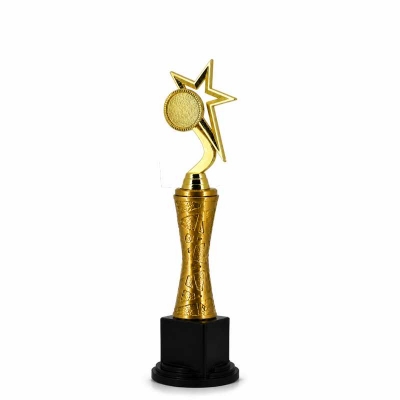 Logolu Metal Yıldızlı Başarı Ödülü