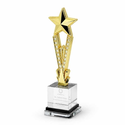 Metal Yıldızlı Kristal küp Ayaklı Ödül
