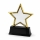 Metal Yıldız Plaket