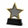 Metal Yıldız Plaket