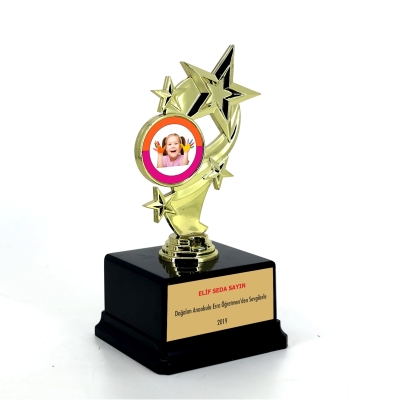 Okullara Özel Yıldız Ödül Plaket (Plastik)