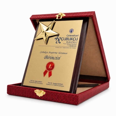 Yıldızlı Deri Kutulu Plaket