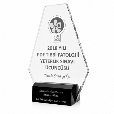 Siyah Ayaklı Kişiye Özel Kristal Plaket 