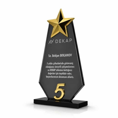 Siyah Kristal Yıldızlı Plaket Örnekleri