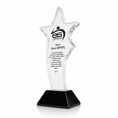 Vip Özel Yıldız Plaket