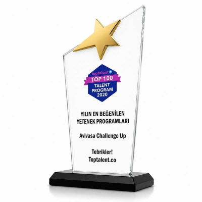 Yıldız Plaket Fiyatları
